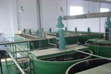 電鍍廢水處理工程